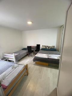 Journey Home - Belgrado - 9