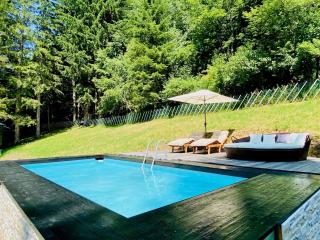 Mariazeller Alpen Chalet - Mariazell - 3