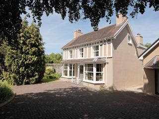 Copper Beech Cottage - Henfynyw Upper - 0