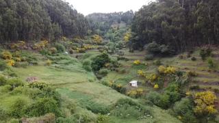 Honey Factory House - Santa Cruz - 7
