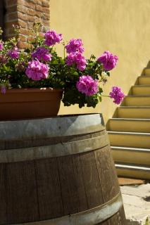 Eremo della Gasprina - 3