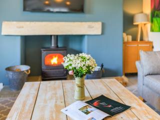 The Cow Shed - Buckland St Mary - 5