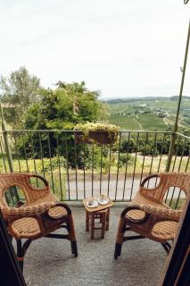 Maison typique avec vue sur les vignes des Langhe - Novello - 5