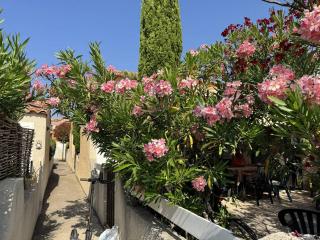 HOLIDAYLAND VILLA 415 T2 MEZZANINE 6 couchages NARBONNE PLAGE - 9