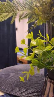 Economy rooms for 2-4 people - Anykščiai - 5