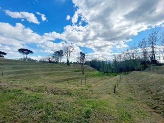 Tenuta Vinci - Capannori - 3