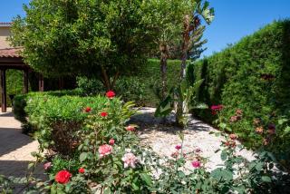 Villa Aspasia in Peyia, Private Pool & 3 Ensuite Bedrooms - Paphos - 1