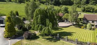 Brambles - Little Dean - 1
