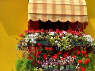 Bed & Bike Belfiore - Montagnana - 9