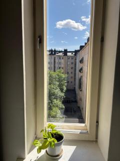 Foliate Living Verso - 4