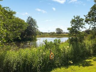 Kite Cottage - Llandeilo - 3