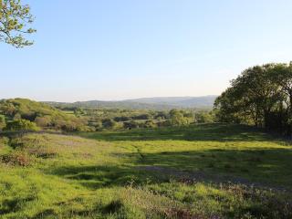 Kite Cottage - Llandeilo - 2