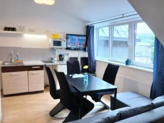 Spacy apartment on Laisves avenue - Kaunas - 0