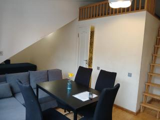Spacy apartment on Laisves avenue - Kaunas - 7