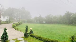 The Palm Pool Resort, Bhimtal - Bhowāli - 9