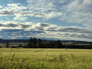Cottage Farmhouse - Huntly - 2