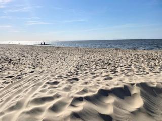 Haus Dortmund FeWo 1 - Cuxhaven - 9