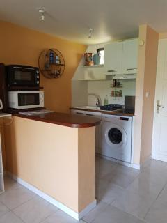 Duplex 50m2 avec piscine - plage Anse à l'Ane - 1