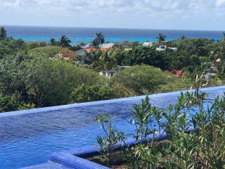 Ocean View Pool in Exclusive Playacar, En-Suite Rooms - 9