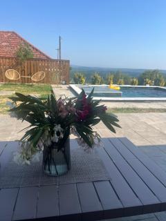 The Stonehouse - Ulcinj - 9