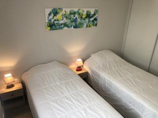 Appartement T3 58 m2, Le République, centre-ville, climatisé, balcon - Aix-les-Bains - 1