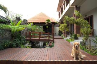 Swan House Canggu - 9