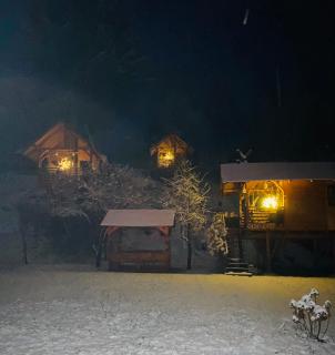 Domeniul Horj Casa din Stejar Moisei - 5