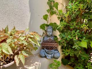 Maltese Garden Villa - Mosta - 7