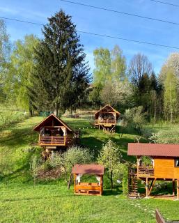 Domeniul Horj Casa din Stejar Moisei - 7