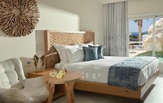 Anax Resort and Spa - Agios Ioannis Mykonos - 2