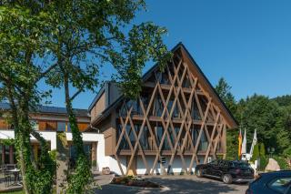 Hotel Die Alm - Oberkirch - 0