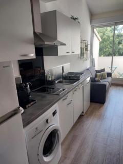 Appartement lumineux a CALVI - Calvi - 8