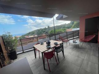 4TERIMP-A02 T3 neuf avec terrasse climatisation parking Collioure - Collioure - 9
