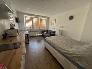 ApartamentsByMatyrafa-XII - Tarnowskie Góry - 8