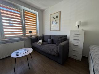 ApartamentsByMatyrafa-XII - Tarnowskie Góry - 9