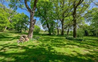19 Carter's Paddock - - 5