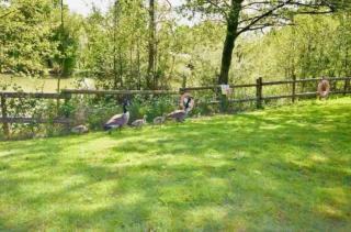 19 Carters Paddock - 5