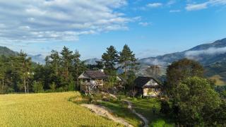 Lapantan Paradise - Mù Cang Chải - 9