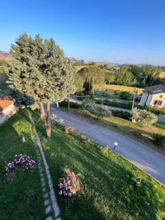 Appartamento Mansarda nel verde - Tavullia - 2