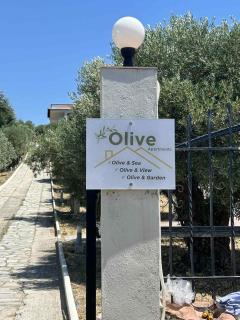 Olive & Garden - Nea Moudania - 5