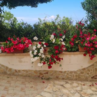 la casa di Martina - 8
