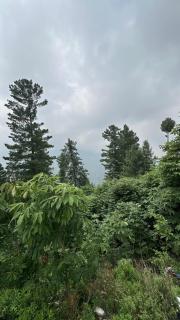 FOG LAND GUEST HOUSE nathia gali kala bagh - Nathia Gali - 2