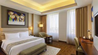 Hotel Nayasa Plaza A family Hotel -Delhi Airport - New Delhi - 9