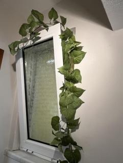Anastasia's Garden - Green Apartment - 4
