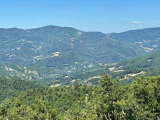 Da Santina - Pieve Santo Stefano - 7