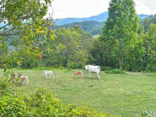 Da Santina 23 - - 8
