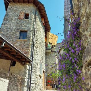 Rustico Lago di Como b&b - Barna - 0