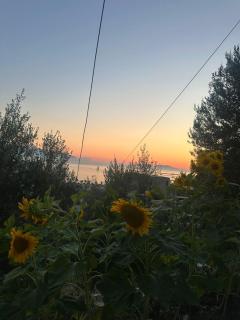 Mahmutaj - Vlorë - 8