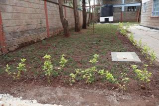 Axis Guest House - Nairobi - 5