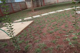 Axis Guest House - Nairobi - 4